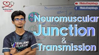 Neuromuscular junction physiology in bangla  Neuromuscular transmission Myasthenia gravis [upl. by Ros51]