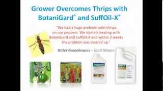 BotaniGard  Superior Biologicallybased Insect Control [upl. by Ehcor]