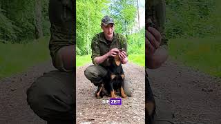 Kreislauf überprüfen beim Hund mit seinen Schleimhäuten ErsteHilfe am Hund [upl. by Viridi]