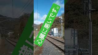 音↓のどかな線路😸かわいい猫！！ 山形線 [upl. by Brandes]