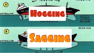 Hogging and sagging of ship [upl. by Olvan]