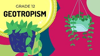 GEOTROPISM  Easy to Understand [upl. by Yole]