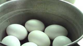 How To Make Hard Boiled Eggs Come Out Right Almost Every Time [upl. by Shawnee]