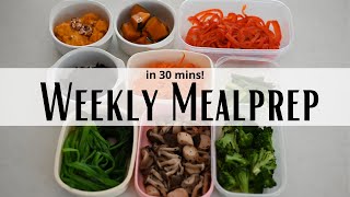 WEEKLY MEALPREP  Keep you in Good Shape and Good Health  Never gain weight [upl. by Kachine]