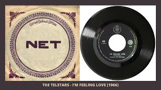 The Telstars  Im feeling love 1966 [upl. by Bullough]