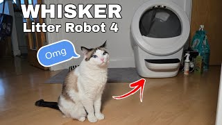 Whisker Litter Robot 4  Unboxing  Automatic Cat Litter [upl. by Kciregor480]