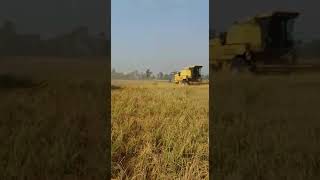 New Holland 8070 and 8050 [upl. by Daisi]