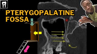 Pterygopalatine Fossa Anatomy  PPF Boundaries and Foramina  Radiology Anatomy [upl. by Fulviah]