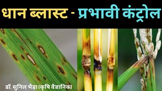 धान ब्लास्ट रोग के लक्षण व रोकथाम Paddy Blast Symptomsamp Control khetikadoctor drsunilbhaira paddy [upl. by Valenza762]