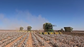 2024 West Texas Cotton Harvest day 3 [upl. by Ingrim]