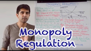 Y2 28 Competition Policy  Monopoly Regulation [upl. by Tirb]