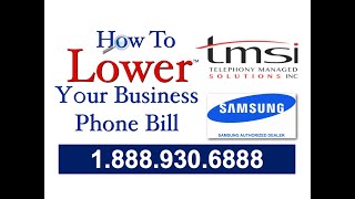 TEN THINGS YOU MUST KNOW ABOUT BUSINESS PHONE LINES AND BUSINESS PHONE SYSTEMS BY TMSI 110 [upl. by Aniuqal]