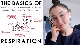 CELLULAR RESPIRATION PART 1  ALEVEL BIOLOGY MADE EASY [upl. by Naxela432]