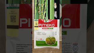 Pimeko insecticide of swat agro for plant hopper and sucking insects on paddyrice crop Kissan Ghar [upl. by Limann]