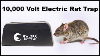 Owltra Infrared Electronic Rat Trap 6000  10000 Volts Mousetrap Monday [upl. by Notxed535]