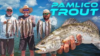 S8 Ep13 Pamlico Trout YOUTUBE [upl. by Magda]