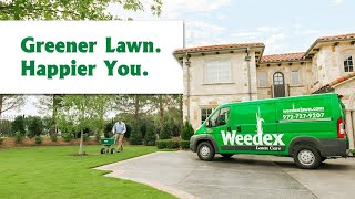 Greener Lawn Happier You  Weedex Lawn Care [upl. by Cadell]