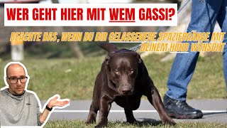 Gassi mit Hund Wer geht hier mit WEM spazieren [upl. by Gibbs]