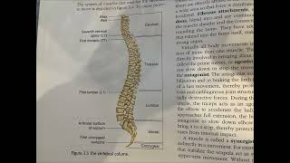 Biomechanics of Resistance Exercise 1 NSCA CSCS [upl. by Glanti]