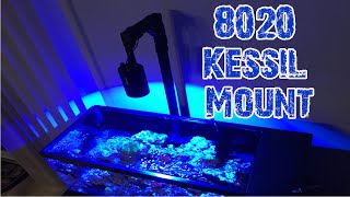 20G Long Nano Reef Tank All In One  8020 DIY Kessil A160 Light Mount [upl. by Ellehcem119]