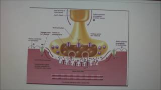 Lecture 8Organophosphates Atropine Fetal Alcohol Syndrome [upl. by Ttelracs]