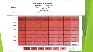 polygenic inheritance [upl. by Wallace568]