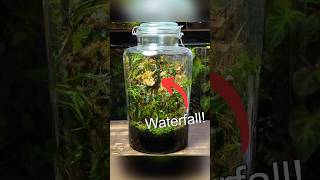 Creating a Waterfall Terrarium  Part 1 [upl. by Anon509]