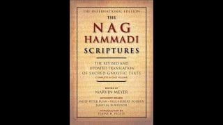 The Tripartite Tractate  Gnostic Text of the Nag Hammadi Library  Full Audio Book With Music [upl. by Ahsotan186]