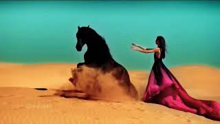 Neshooni Persian official Full Song Tiktok arabic Trending 2024 [upl. by Aihseya829]