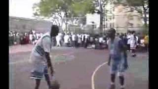 Sebastian Telfair Streetball HighLights [upl. by Nawiat917]