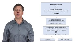 An Approach to Acute Dyspnea [upl. by Mansur301]