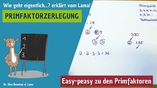 Primfaktorzerlegung 5 Klasse  systematisch erklärt vom Lama [upl. by Coreen217]