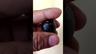 smal black stone tektites meteorite [upl. by Payson179]