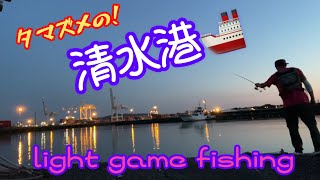 【ライトゲーム】アジングタックルなら面白そうな！夕まずめの清水港🎣【ジグ単】 [upl. by Emmye924]