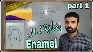 enamel 1  oral histology  ezzat shouman [upl. by Einnahpets]