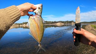 BIG Trevally Catch and Cook  Fishing For Food [upl. by Yslehc]