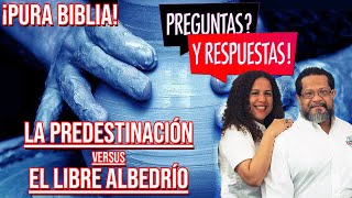 ¿Qué dice la Biblia sobre la predestinación versus el libre albedrío [upl. by Lana863]