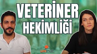 VETERİNER HEKİMLİK  13 Soruda Veteriner Fakültesi [upl. by Marron297]