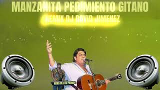 MANZANITA PEDIMIENTO GITANO REMIX DJ DAVID JIMENEZ [upl. by Maxama]