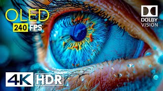 Mind Blowing OLED Dolby Vision  4K HDR 240 fps [upl. by Jaimie]