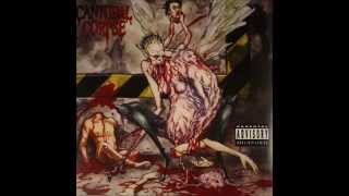 Cannibal Corpse  Unleashing the Bloodthirsty guitar cover no voice [upl. by Sumner]