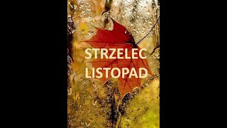 TAROT STRZELEC LISTOPAD 2023 [upl. by Aufa]