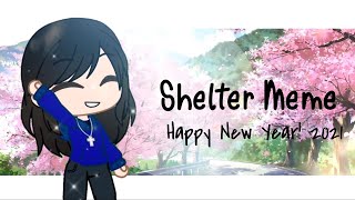 Shelter Meme  Happy New Year Special  ft Friends [upl. by Apurk774]