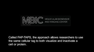 Carnegie Mellon Develops Targeted Photosensitizer for Cell Manipulation [upl. by Notneuq]