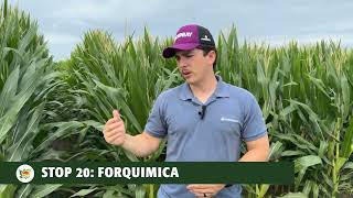 STOP 20  Forquimica  2024 Sunbelt Ag Expo Field Days [upl. by Aiderfla]