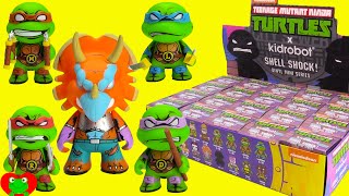 Teenage Mutant Ninja Turtles Kidrobot Shell Shock Mini Series [upl. by Ahsekam]