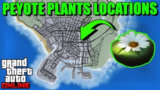 Peyote Plants Locations Map 2023  Where To Find The Peyote Plants  GTA 5 Online [upl. by Deana815]