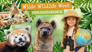 Wilde Wildlife Week  Voorjaarsvakantie 2024  DierenPark Amersfoort [upl. by Swisher]