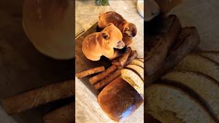 Fresh Baked Beardbakery weirdpets weirdcore breadmaking creatures explore اكسبلور babyanimal [upl. by Beverlie]