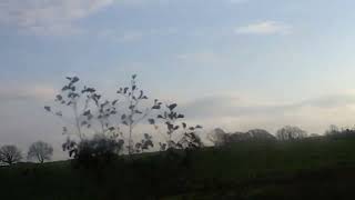 Approaching Longford on Bus Éireann [upl. by Ardath332]